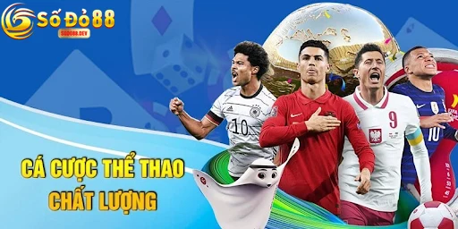 Cam Kết Và Tầm Nhìn Phát Triển Của Sodo88