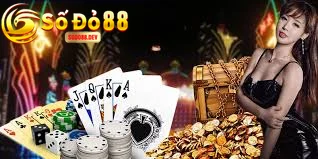 Các Dịch Vụ Nổi Bật Tại Sodo88
