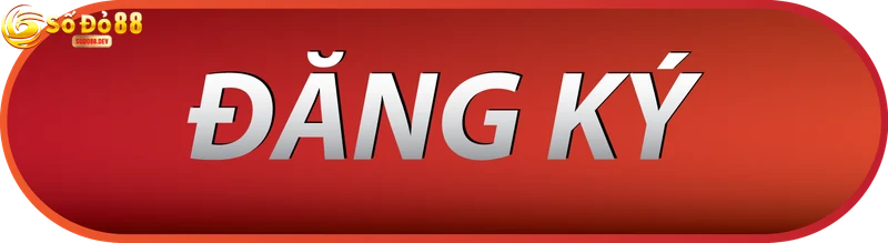 Giải Đáp Các Câu Hỏi Thường Gặp Về Đăng Ký Sodo88